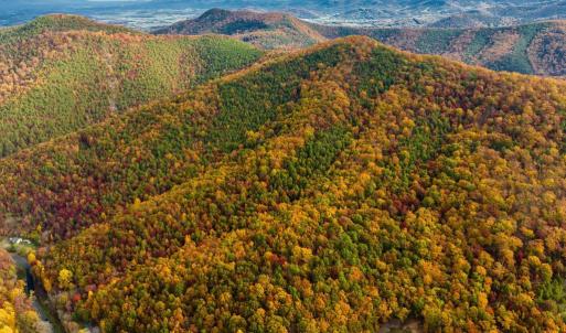Photo #33 of LUCAS HOLLOW RD, STANLEY, VA 40.6 acres