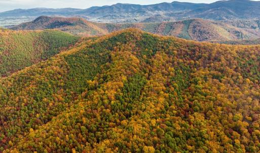 Photo #34 of LUCAS HOLLOW RD, STANLEY, VA 40.6 acres