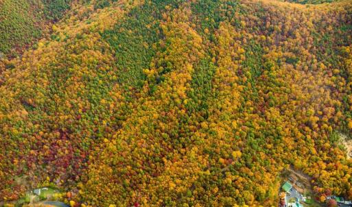 Photo #35 of LUCAS HOLLOW RD, STANLEY, VA 40.6 acres