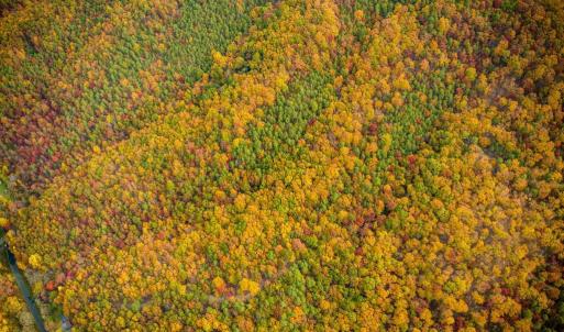 Photo #36 of LUCAS HOLLOW RD, STANLEY, VA 40.6 acres