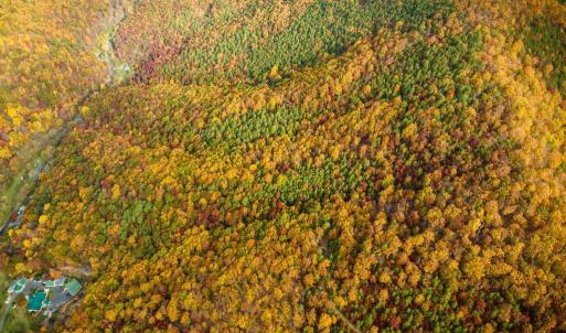Photo #37 of LUCAS HOLLOW RD, STANLEY, VA 40.6 acres