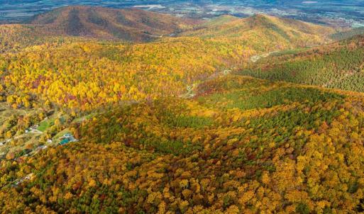 Photo #39 of LUCAS HOLLOW RD, STANLEY, VA 40.6 acres