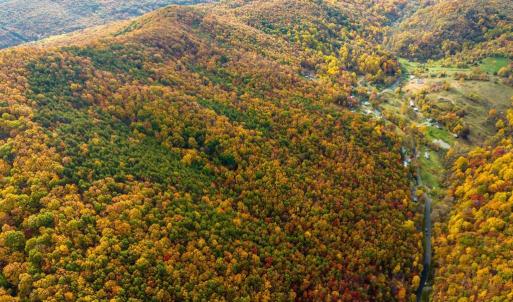 Photo #43 of LUCAS HOLLOW RD, STANLEY, VA 40.6 acres