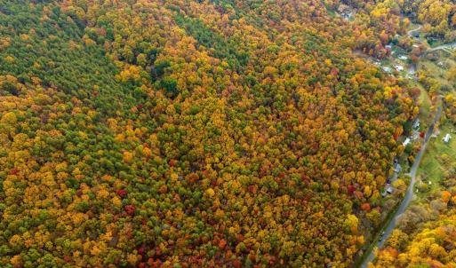 Photo #45 of LUCAS HOLLOW RD, STANLEY, VA 40.6 acres