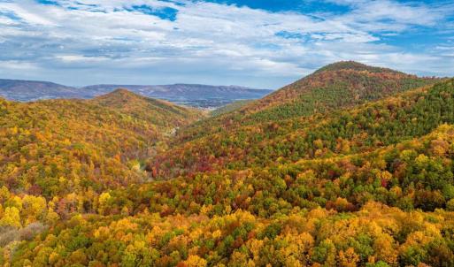 Photo #47 of LUCAS HOLLOW RD, STANLEY, VA 40.6 acres
