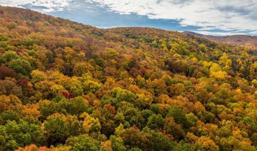 Photo #49 of LUCAS HOLLOW RD, STANLEY, VA 40.6 acres