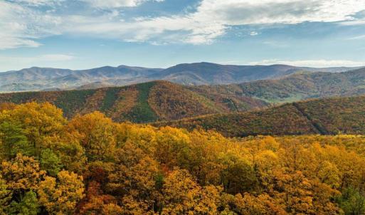 Photo #50 of LUCAS HOLLOW RD, STANLEY, VA 40.6 acres