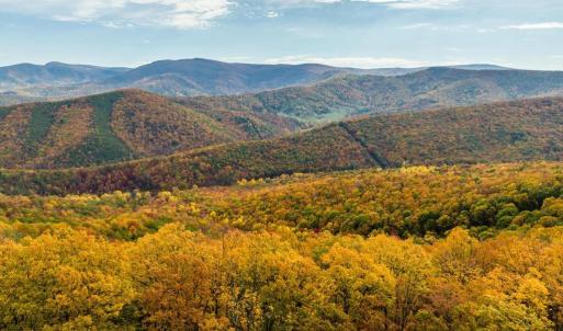 Photo #51 of LUCAS HOLLOW RD, STANLEY, VA 40.6 acres