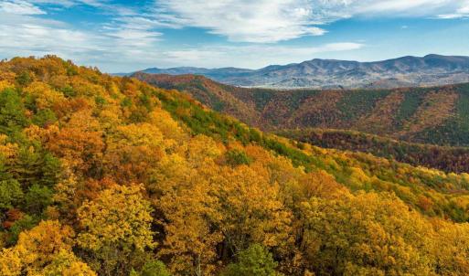 Photo #52 of LUCAS HOLLOW RD, STANLEY, VA 40.6 acres