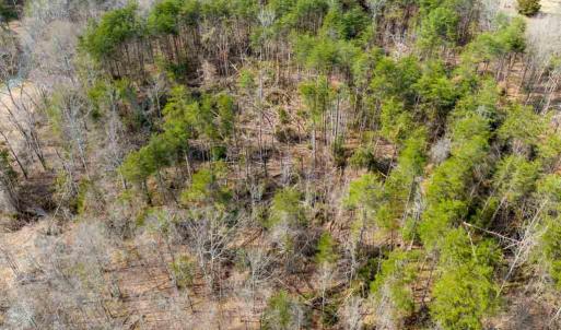 Photo #7 of NEW BRIDGE ROAD, MINERAL, VA 1.5 acres