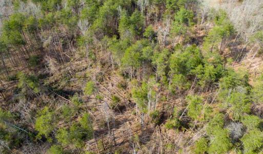 Photo #9 of NEW BRIDGE ROAD, MINERAL, VA 1.5 acres