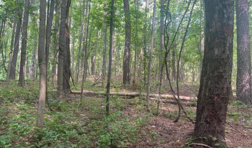 Photo #1 of THORNTON GAP CHURCH ROAD, SPERRYVILLE, VA 7.5 acres