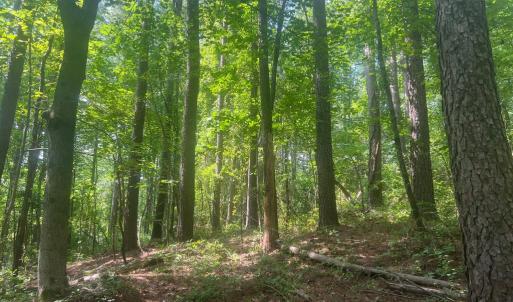 Photo #2 of THORNTON GAP CHURCH ROAD, SPERRYVILLE, VA 7.5 acres