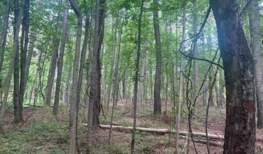 Photo #5 of THORNTON GAP CHURCH ROAD, SPERRYVILLE, VA 7.5 acres