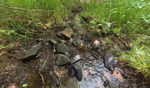 Photo #6 of THORNTON GAP CHURCH ROAD, SPERRYVILLE, VA 7.5 acres