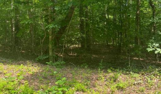 Photo #2 of MEANDER RUN ROAD, LOCUST DALE, VA 5.3 acres