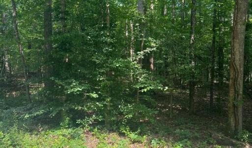 Photo #5 of MEANDER RUN ROAD, LOCUST DALE, VA 5.3 acres