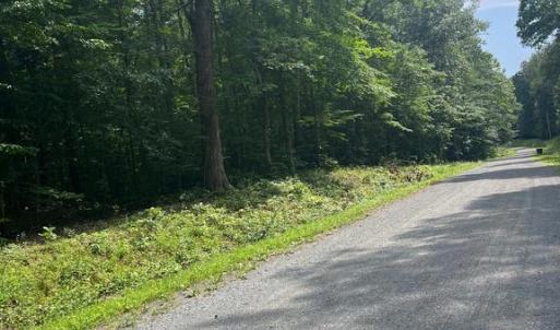 Photo #6 of MEANDER RUN ROAD, LOCUST DALE, VA 5.3 acres
