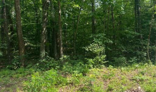 Photo #7 of MEANDER RUN ROAD, LOCUST DALE, VA 5.3 acres