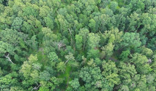 Photo #2 of VARZARA RD, MARSHALL, VA 13.8 acres