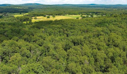 Photo #5 of VARZARA RD, MARSHALL, VA 13.8 acres