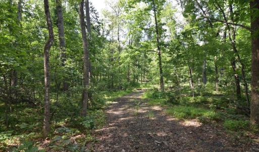 Photo #7 of VARZARA RD, MARSHALL, VA 13.8 acres