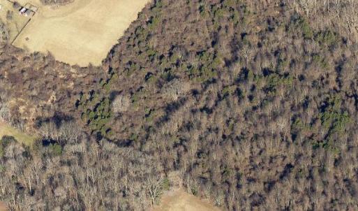 Photo #3 of DEERFIELD LANE, AMISSVILLE, VA 34.1 acres