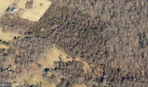 Photo #4 of DEERFIELD LANE, AMISSVILLE, VA 34.1 acres
