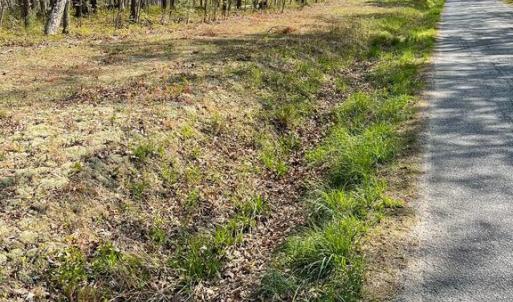 Photo #3 of 13323 BLACK MEADOW RD, SPOTSYLVANIA, VA 5.1 acres