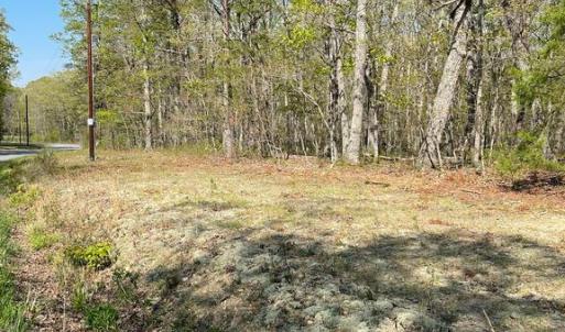 Photo #5 of 13323 BLACK MEADOW RD, SPOTSYLVANIA, VA 5.1 acres