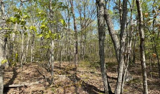 Photo #6 of 13323 BLACK MEADOW RD, SPOTSYLVANIA, VA 5.1 acres