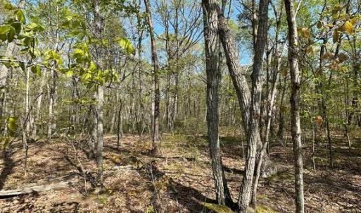 Photo #7 of 13323 BLACK MEADOW RD, SPOTSYLVANIA, VA 5.1 acres