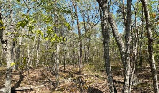 Photo #8 of 13323 BLACK MEADOW RD, SPOTSYLVANIA, VA 5.1 acres