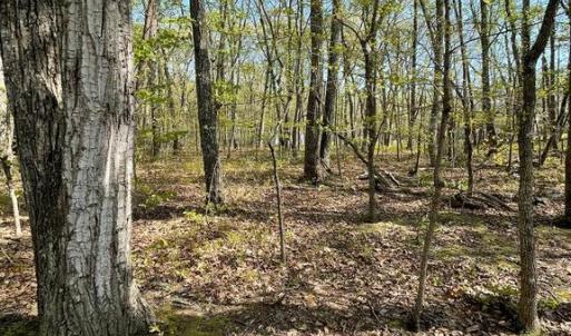 Photo #9 of 13323 BLACK MEADOW RD, SPOTSYLVANIA, VA 5.1 acres