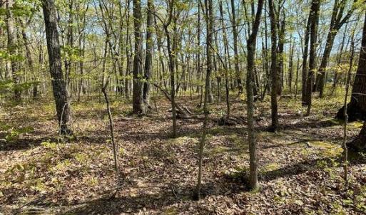 Photo #10 of 13323 BLACK MEADOW RD, SPOTSYLVANIA, VA 5.1 acres