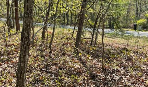Photo #12 of 13323 BLACK MEADOW RD, SPOTSYLVANIA, VA 5.1 acres