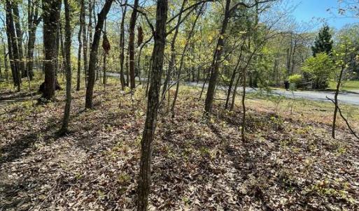 Photo #13 of 13323 BLACK MEADOW RD, SPOTSYLVANIA, VA 5.1 acres