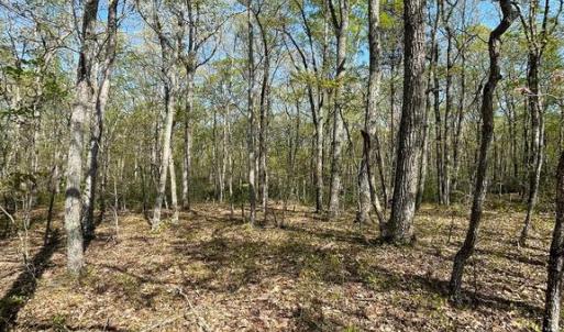 Photo #14 of 13323 BLACK MEADOW RD, SPOTSYLVANIA, VA 5.1 acres