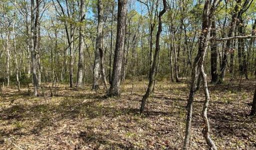 Photo #15 of 13323 BLACK MEADOW RD, SPOTSYLVANIA, VA 5.1 acres
