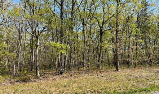 Photo #1 of 13323 BLACK MEADOW RD, SPOTSYLVANIA, VA 5.1 acres