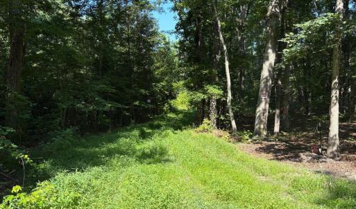 Photo #2 of 23 TAYLOR RD, LOUISA, VA 11.8 acres