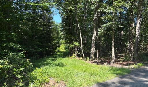 Photo #1 of 23 TAYLOR RD, LOUISA, VA 11.8 acres