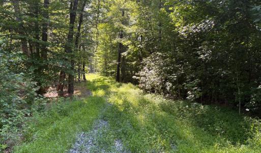 Photo #3 of 23 TAYLOR RD, LOUISA, VA 11.8 acres