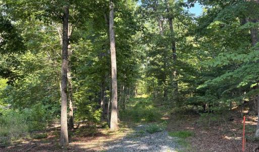 Photo #5 of 23 TAYLOR RD, LOUISA, VA 11.8 acres