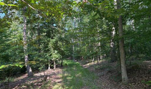 Photo #8 of 23 TAYLOR RD, LOUISA, VA 11.8 acres