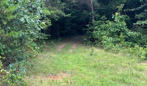 Photo #1 of 7609 LAWYERS RD, SPOTSYLVANIA, VA 22.0 acres