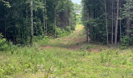 Photo #3 of 7609 LAWYERS RD, SPOTSYLVANIA, VA 22.0 acres