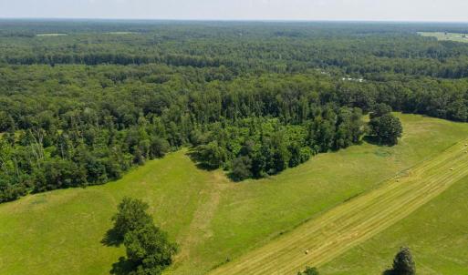 Photo #17 of 11997 BRISTERSBURG RD, MIDLAND, VA 233.0 acres
