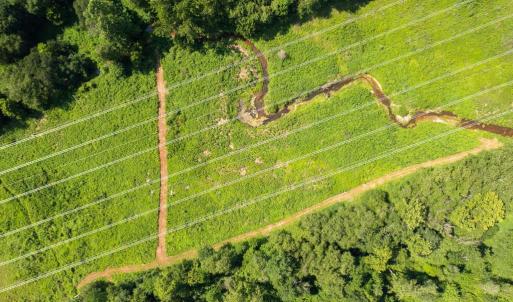 Photo #26 of 11997 BRISTERSBURG RD, MIDLAND, VA 233.0 acres