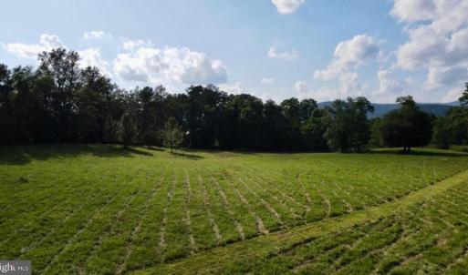 Photo #3 of ROCK MILLS RD, WOODVILLE, VA 6.7 acres
